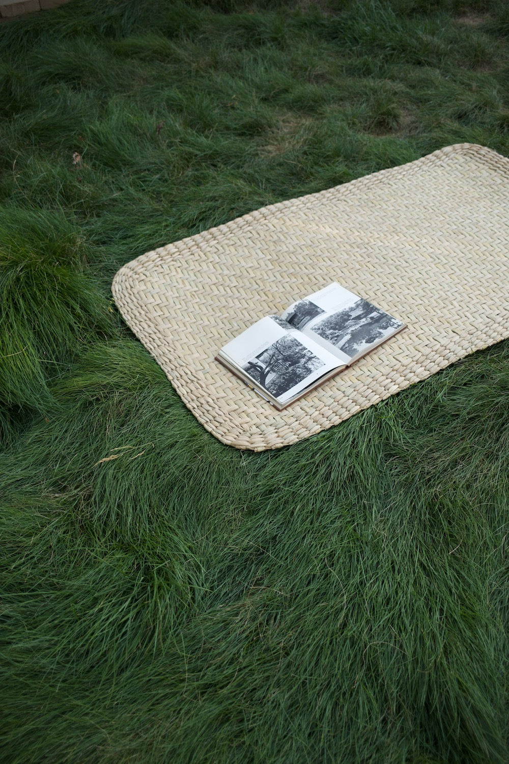 Handwoven Outdoor Mat